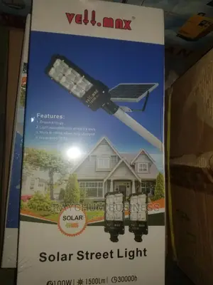 Ve-Max Solar Street Light With Panel 100w