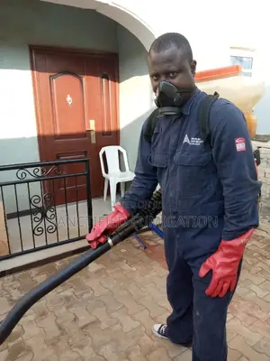 Exterior and Interior Fumigation