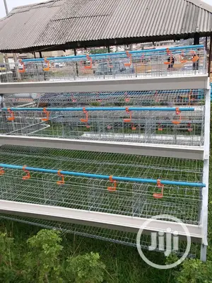 Hot Dip Galvanize Battery Cages With Full Accessories