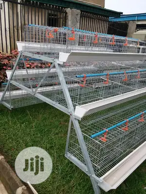 Hot Dip Galvanize Battery Cages With Full Accessories