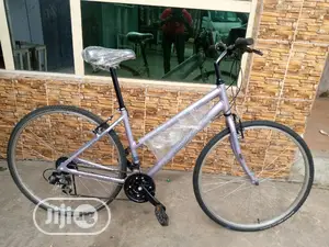 Ladies Sport Bicycle