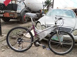 Correra Sport Bicycle