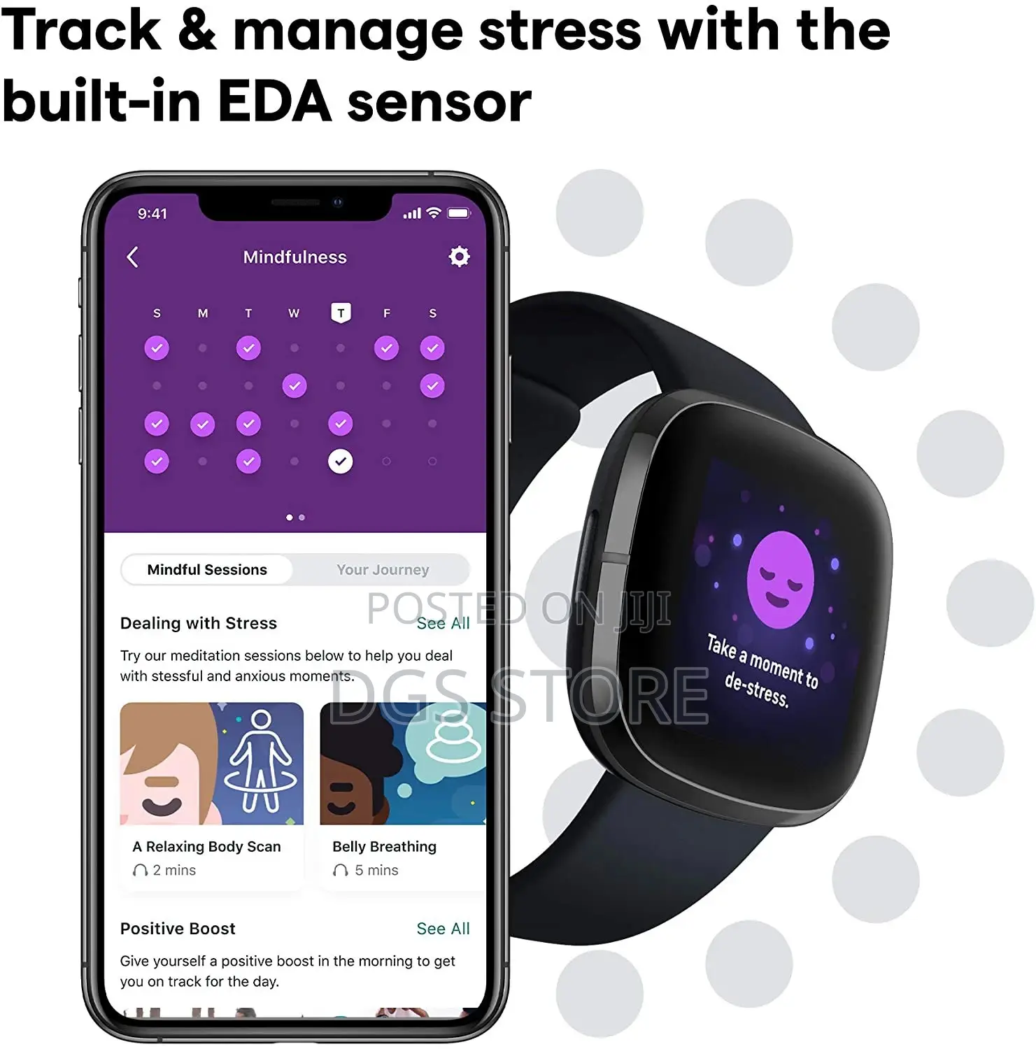 Fitbit Sense Smart Watch