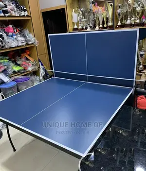 The Indoor Table Tennis
