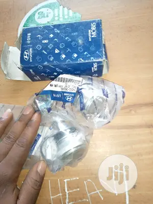 Ball Joints for Hyundai Ix35