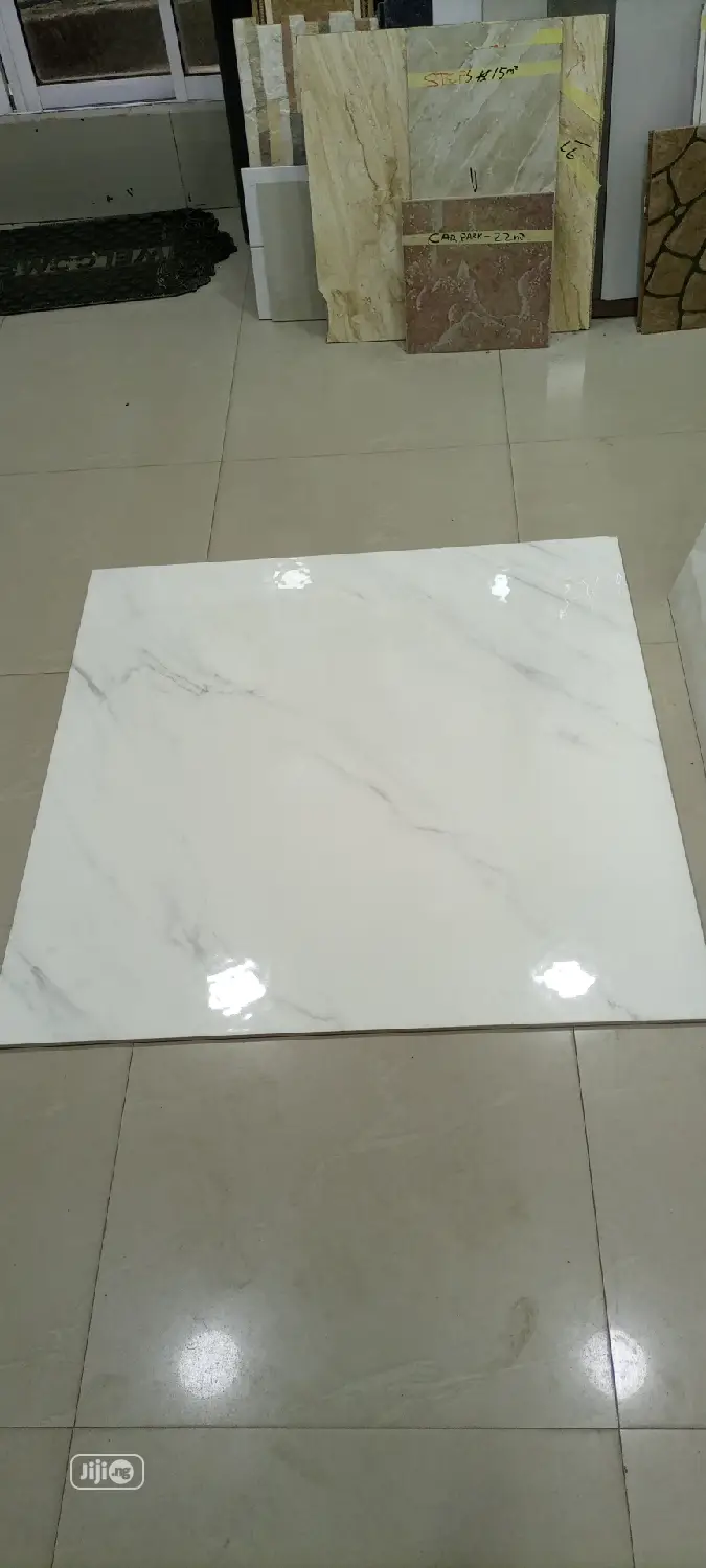 100X100 Floor Tiles