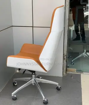 Italian Unique Executive Office Chairs