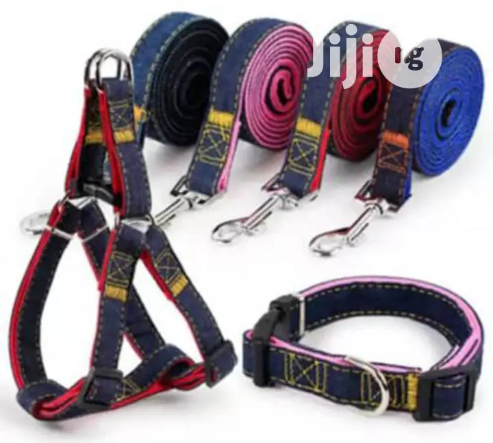 Dog Harness, Collar and Leash