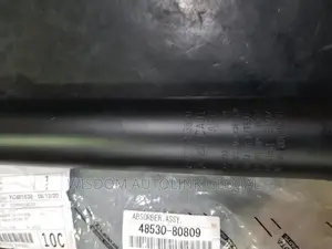 Rear Shock Absorbers For Toyota Camry 2020 Model (Briscoe)