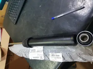 Rear Shock Absorbers For Toyota Camry 2020 Model (Briscoe)