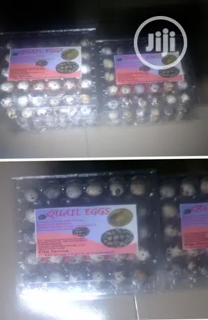 Quail Eggs