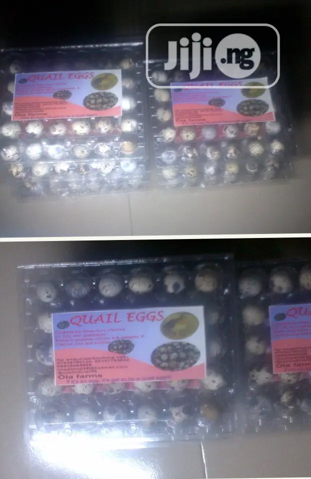 Quail Eggs