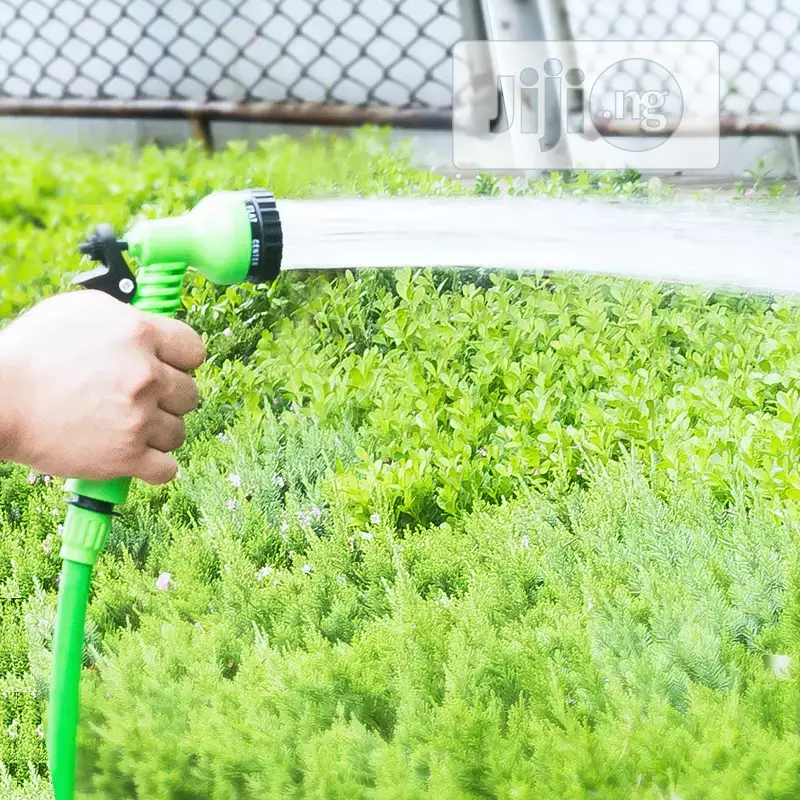 100 Ft Magic Hose