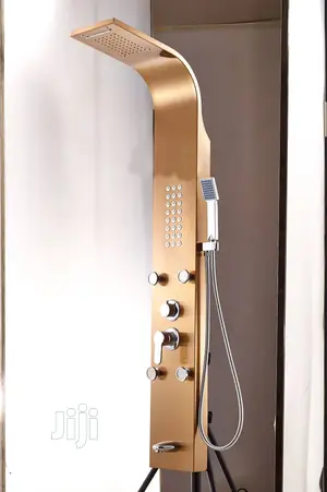 Executive Power Shower