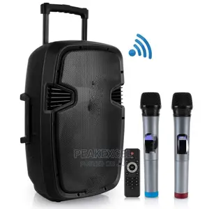 8 Inches PA Speaker With Bluetooth 2 Wireless Microphones