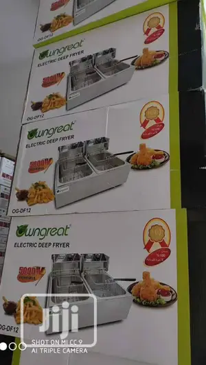 14 Litres Double Electric Deep Fryers