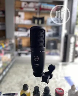 Akg P120 General Purpose Recording Microphone