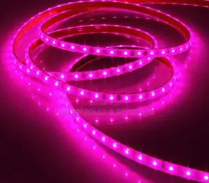 Quality Flat Rope Light