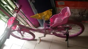 Children Female Colour Riding Bike