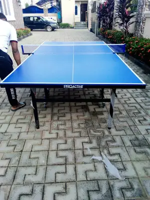 Outdoor Water Resistant Table Tennis Board