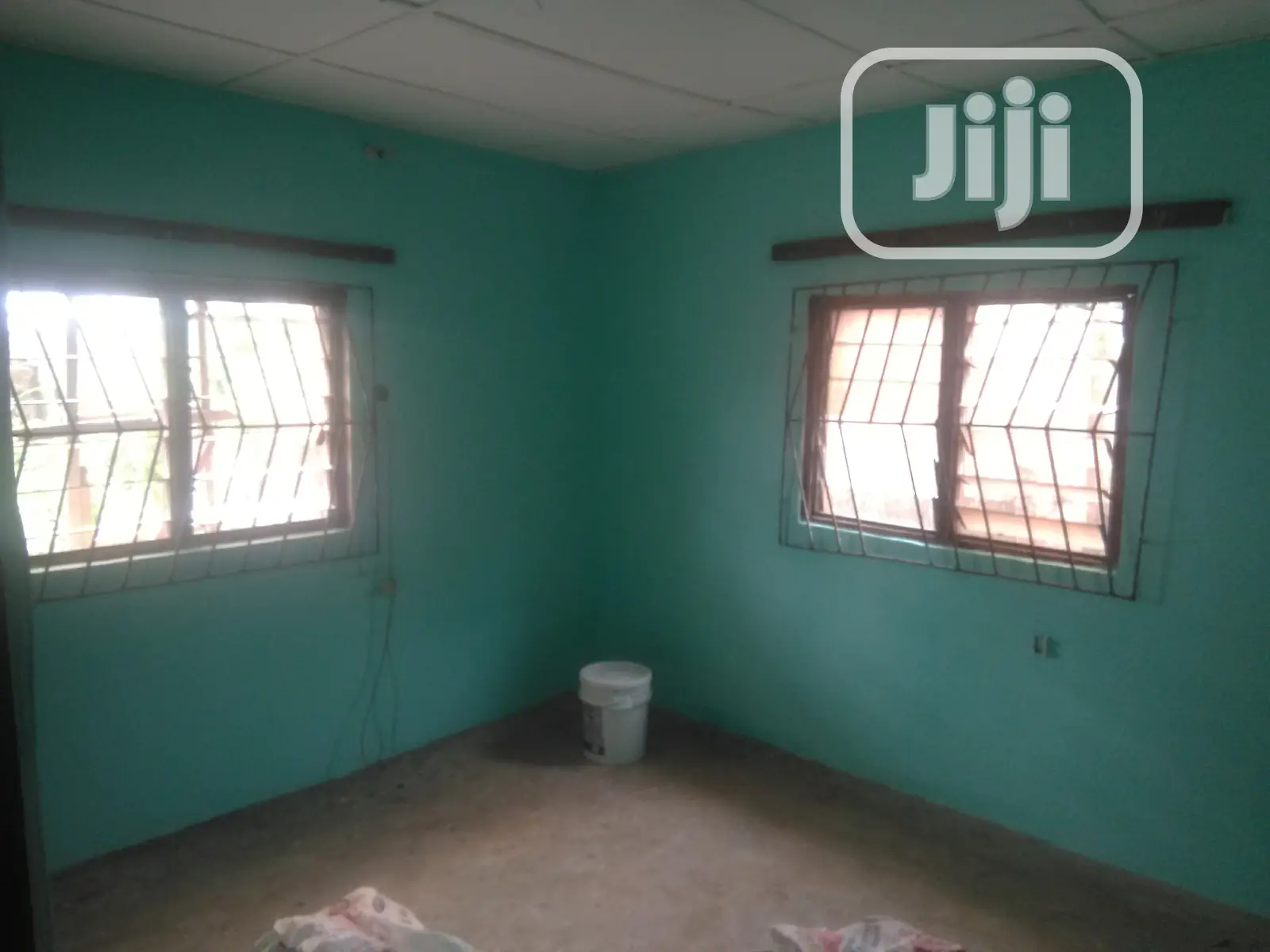 Professional House Painter