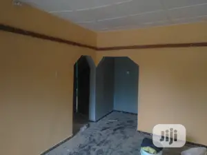 Professional House Painter