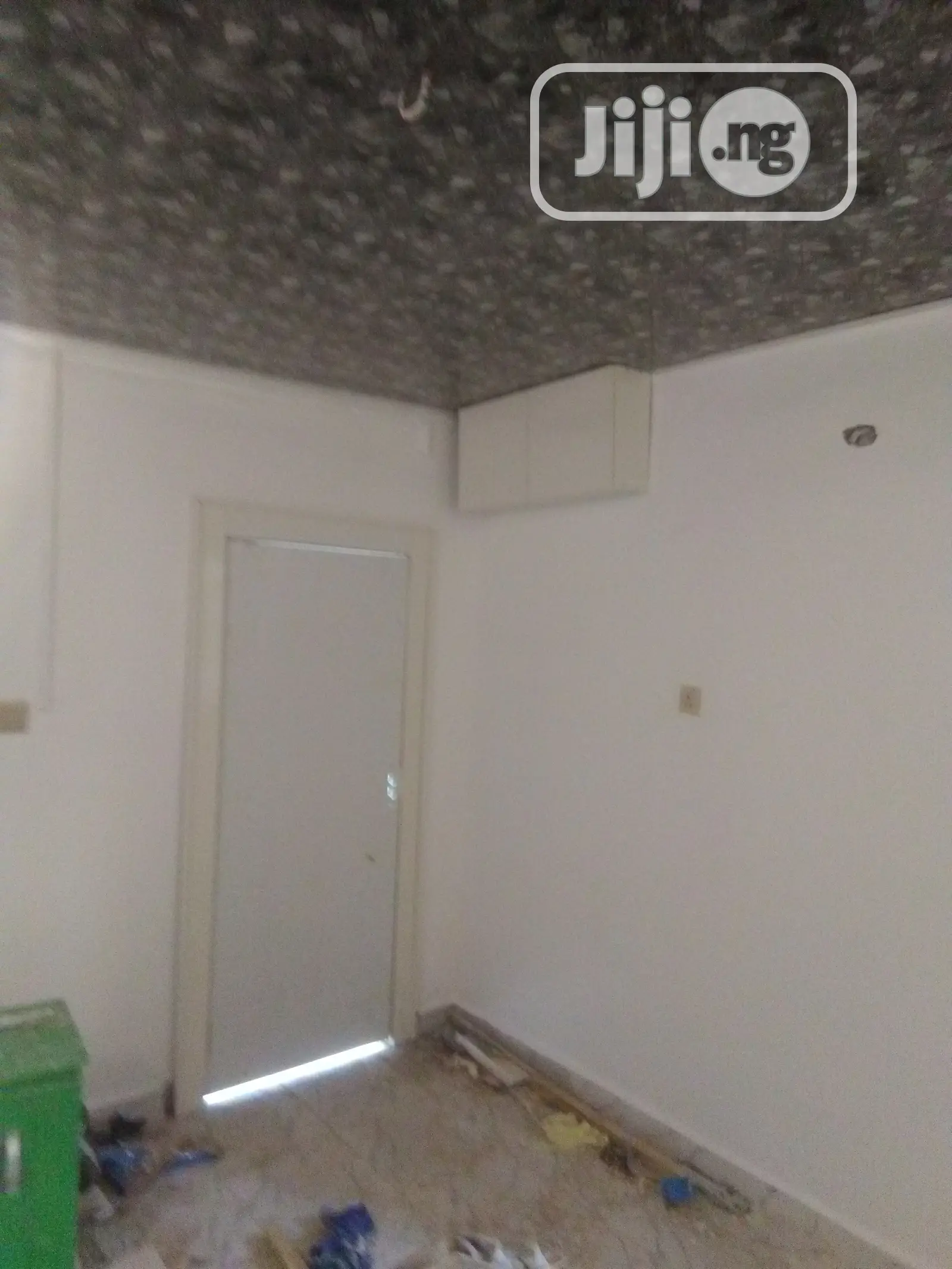 Professional House Painter