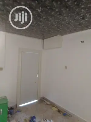 Professional House Painter