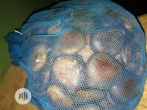 Broad Leaf Ugu Seeds From Calabar
