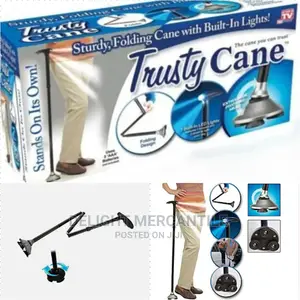 Trusty Cane Walking Stick