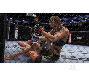 Playstation 4 - Ufc 4