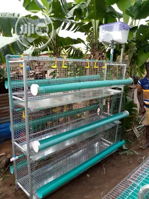 Broiler Cages With Full Accessories