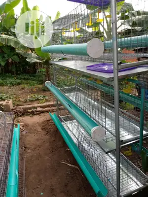 Broiler Cages With Full Accessories