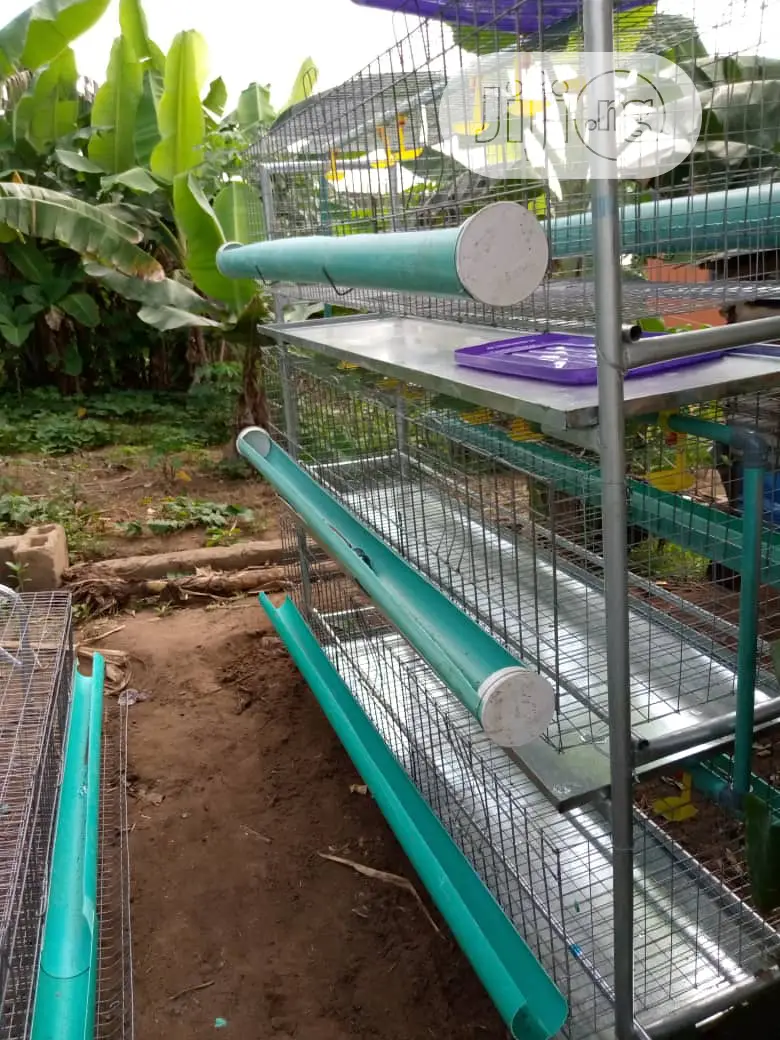 Broiler Cages With Full Accessories
