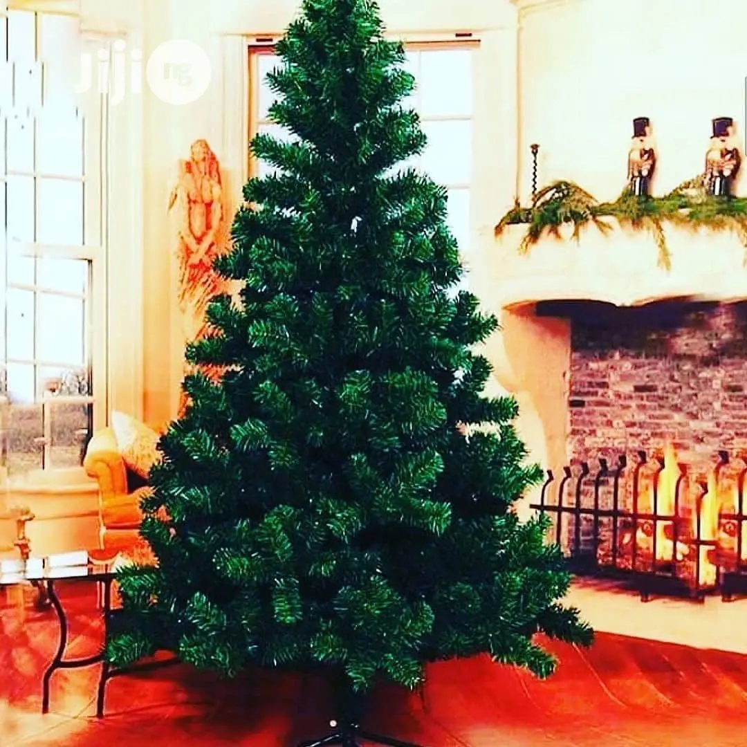 Conventional Green Christmas Tree