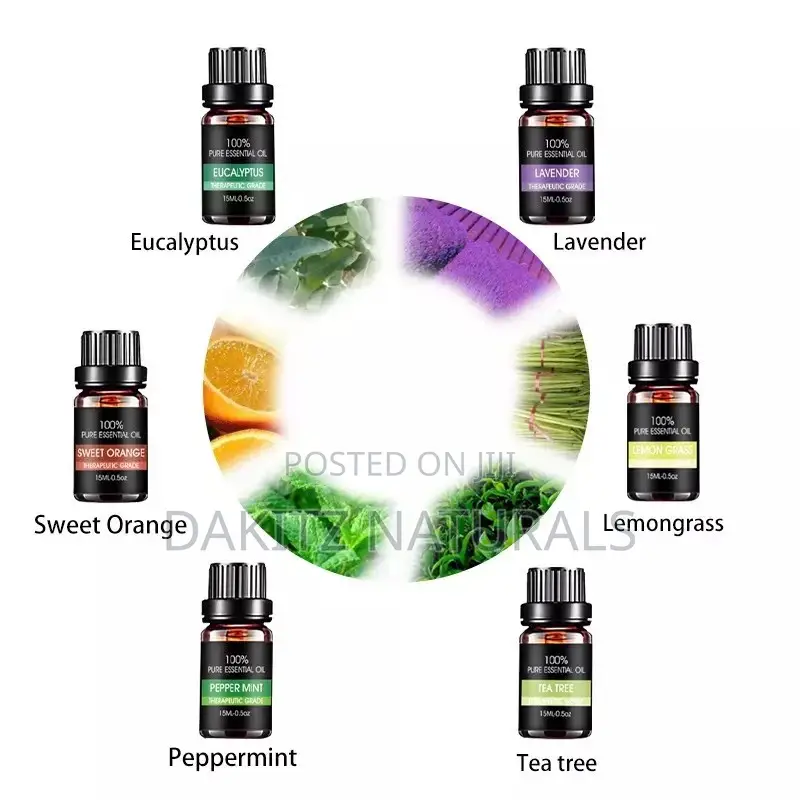Essential Oils 10ml (6 in Pack)