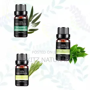 Essential Oils 10ml (6 in Pack)
