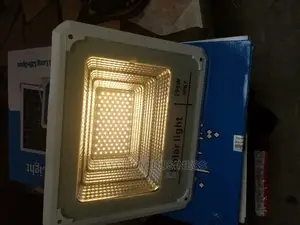 Solar Flood Light 3 Color Type With Remote Control 100w