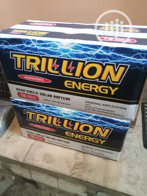 12/220ahs Trillion Energy Solar Battery