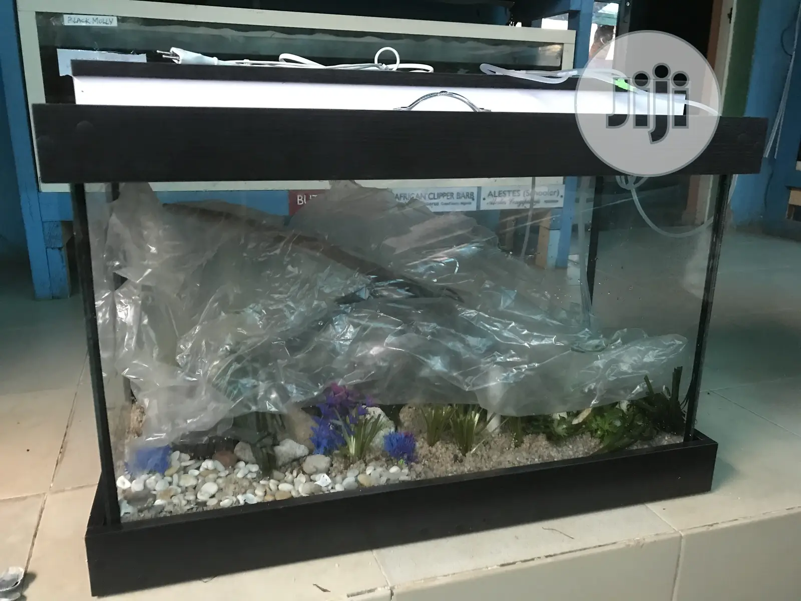 Loveable Aquarium