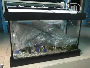 Loveable Aquarium