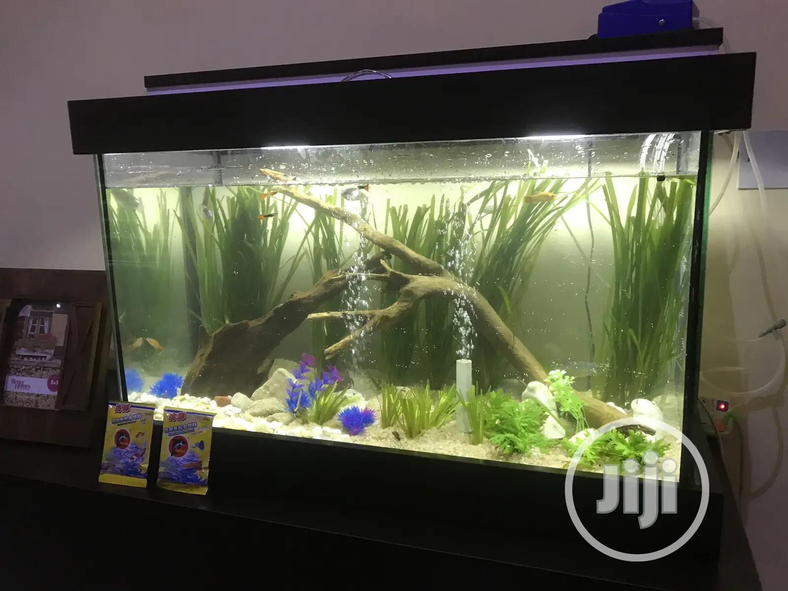 Loveable Aquarium