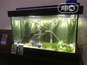 Loveable Aquarium