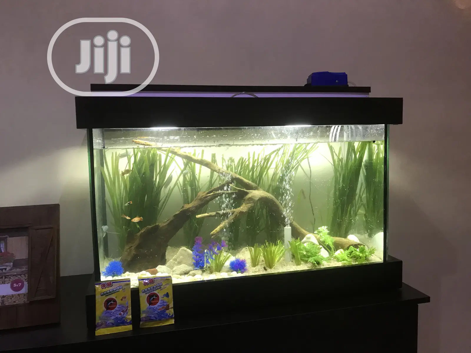 Loveable Aquarium
