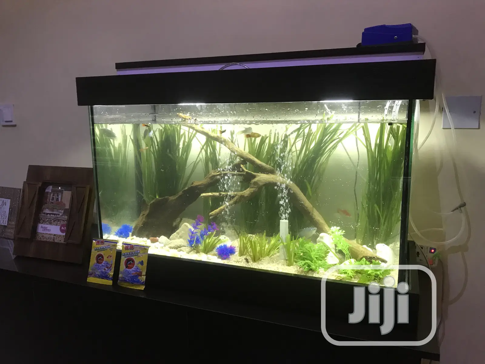 Loveable Aquarium