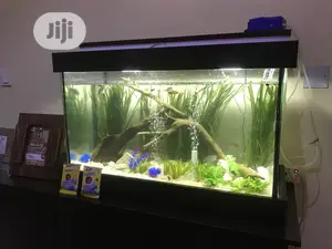 Loveable Aquarium