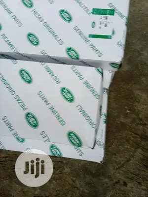 Range Rover Air Cleaner 2010