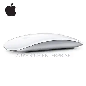 This Apple Mouse