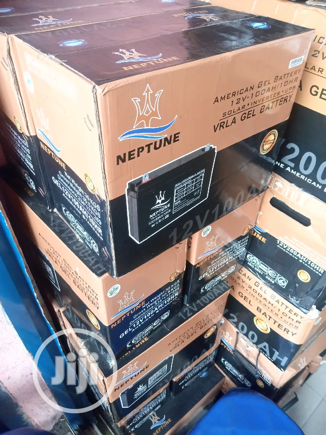 12/100ah Neptune Inverter Battery