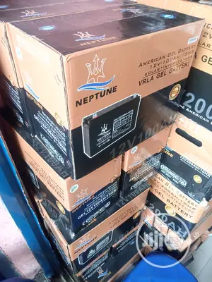 12/100ah Neptune Inverter Battery